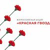 Больше, чем цветы: всероссийская благотворительная акция помощи ветеранам «Красная гвоздика»