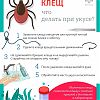 Клещ - что делать при укусе?