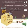 Что делать, если вас укусила оса или пчела?