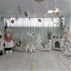 Праздничную новогоднюю фотозону оформили в Доме культуры «Юбилейный» поселения Роговское