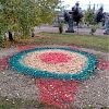 Подготовку клумб к зимнему сезону завершили в Роговском